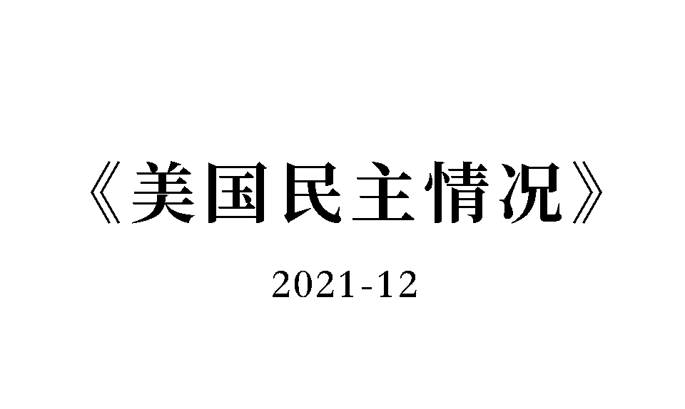 美国民主情况